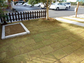 奈良外構工事後芝生花壇